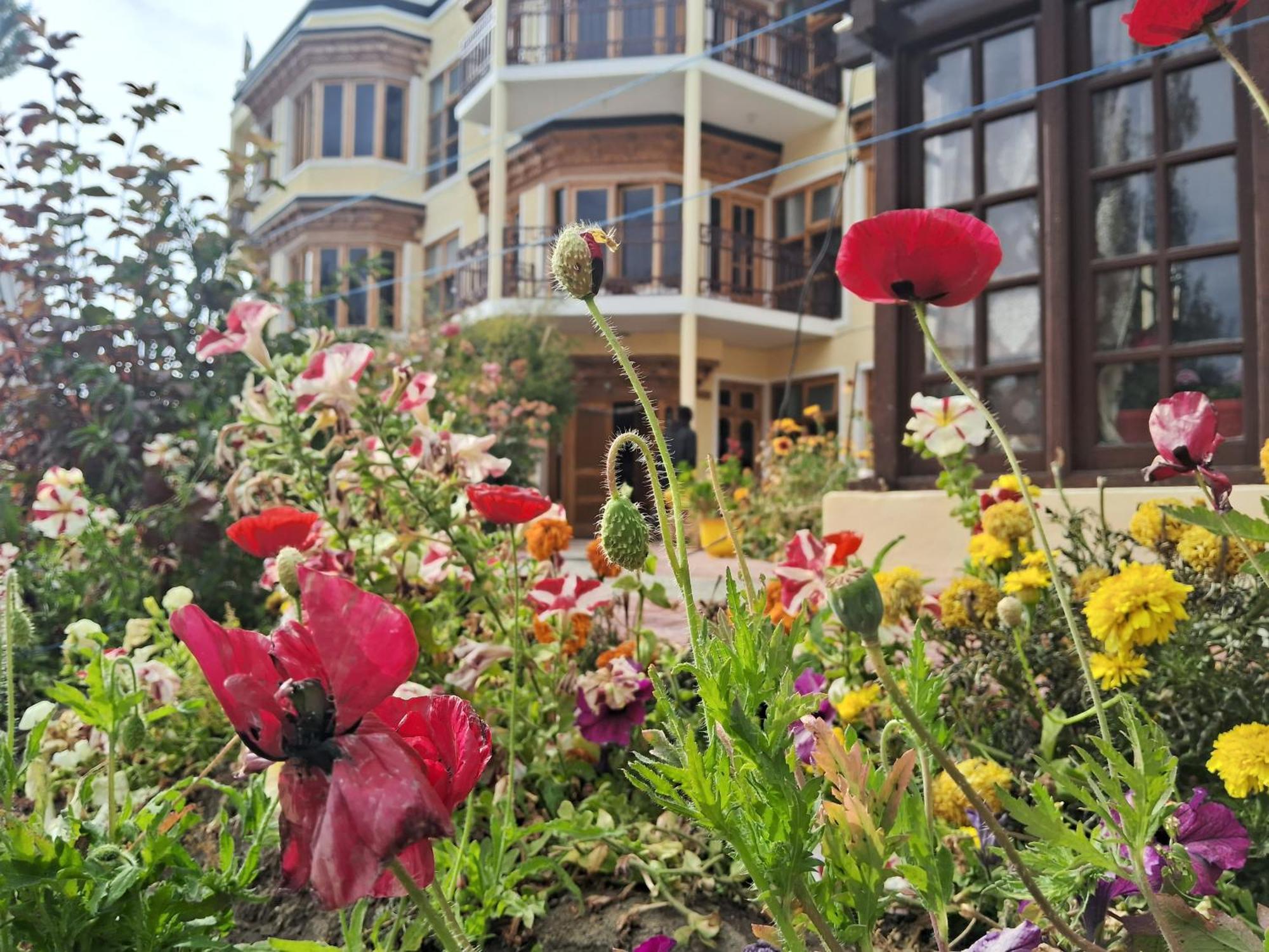 Zaltak Guest House And Hostel Leh Exterior foto