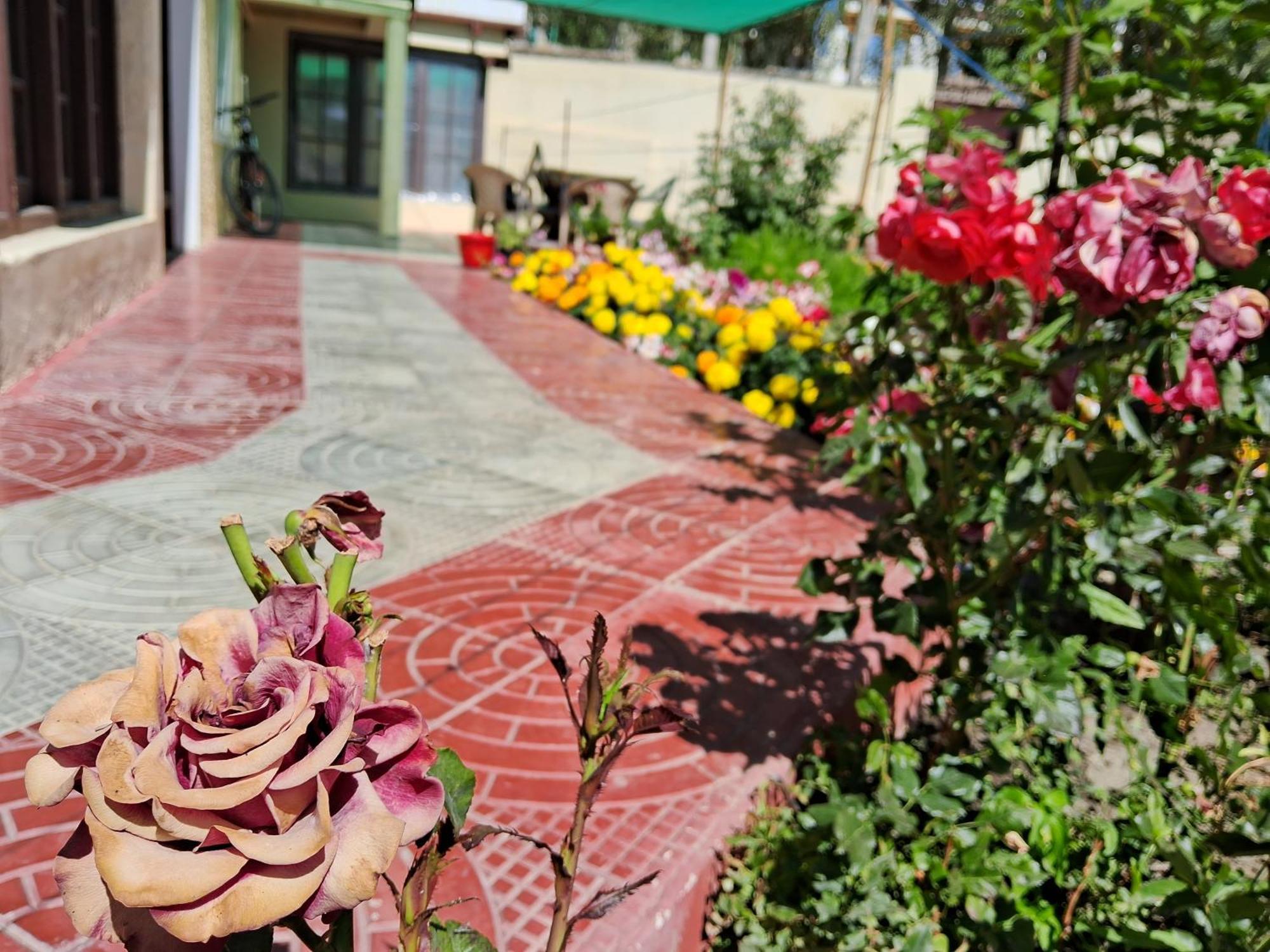 Zaltak Guest House And Hostel Leh Exterior foto