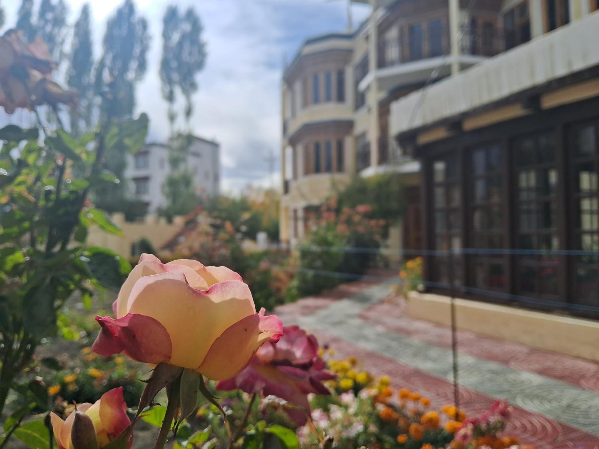 Zaltak Guest House And Hostel Leh Exterior foto