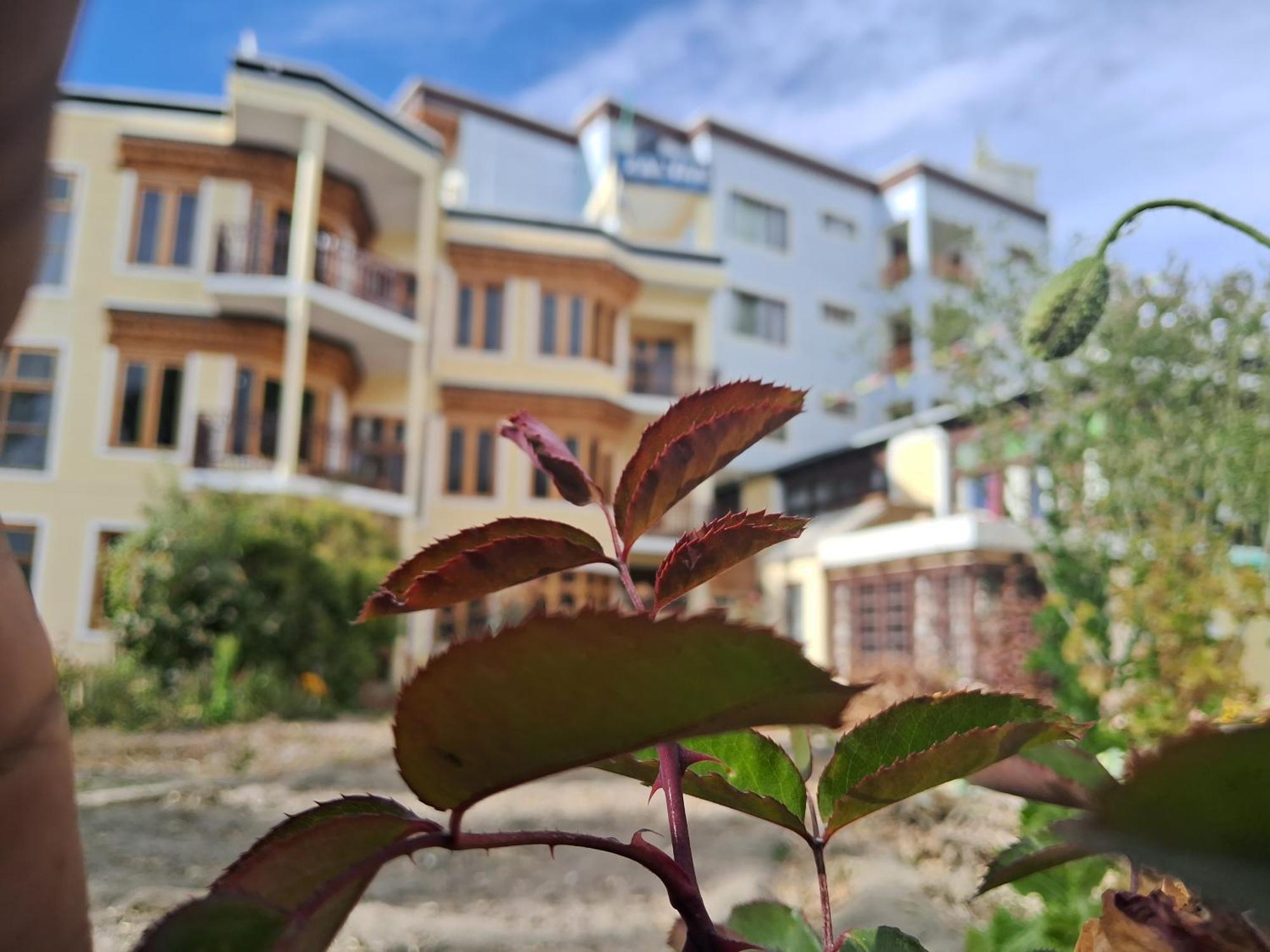 Zaltak Guest House And Hostel Leh Exterior foto