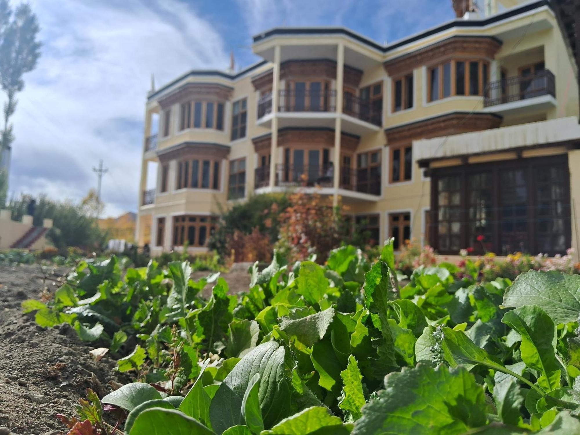 Zaltak Guest House And Hostel Leh Exterior foto