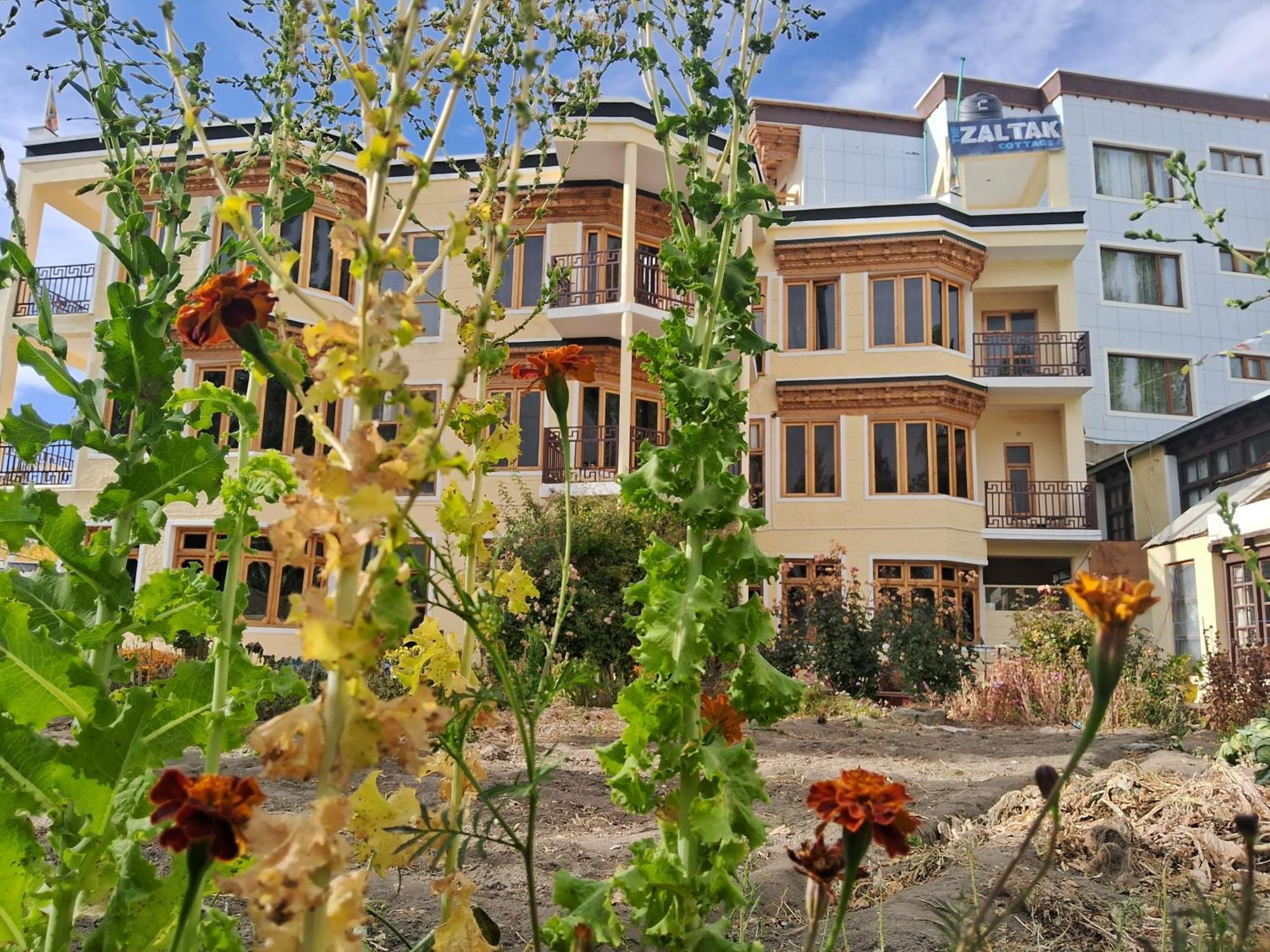 Zaltak Guest House And Hostel Leh Exterior foto