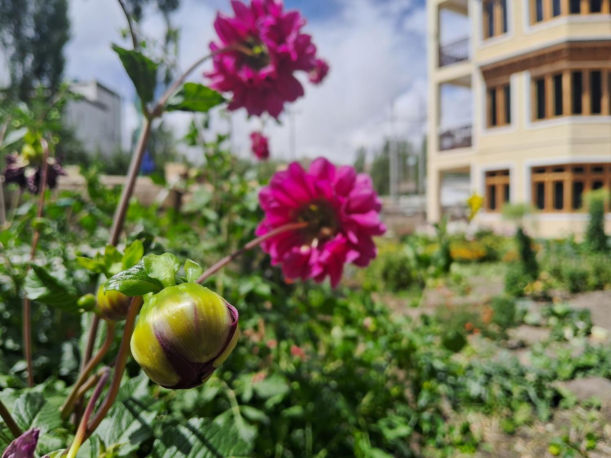 Zaltak Guest House And Hostel Leh Exterior foto