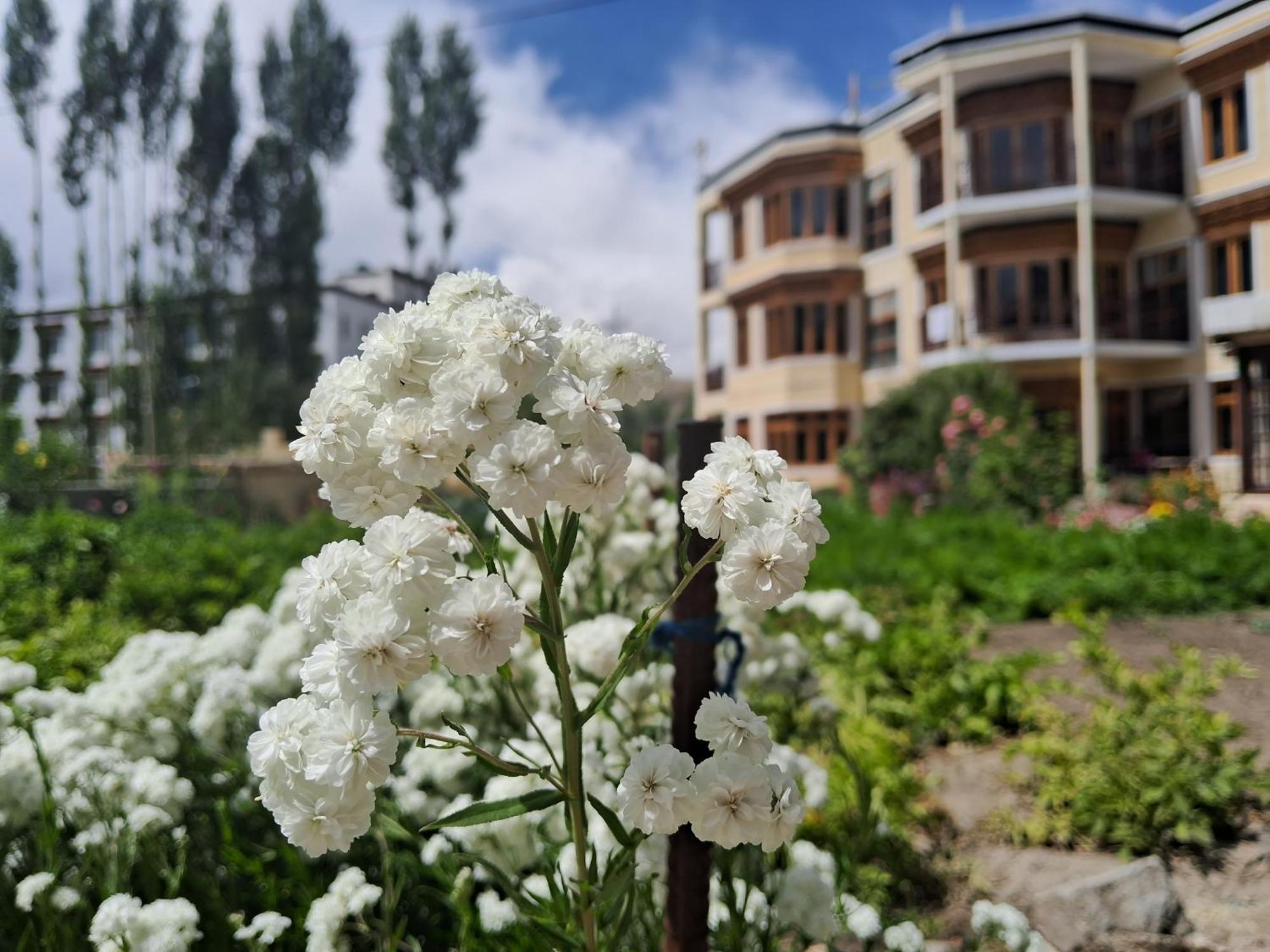 Zaltak Guest House And Hostel Leh Exterior foto