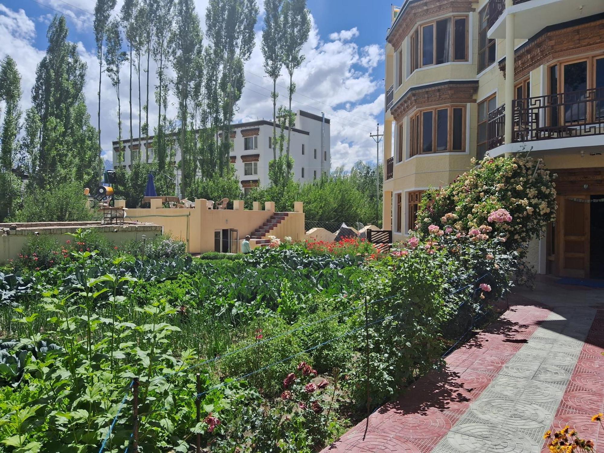 Zaltak Guest House And Hostel Leh Exterior foto