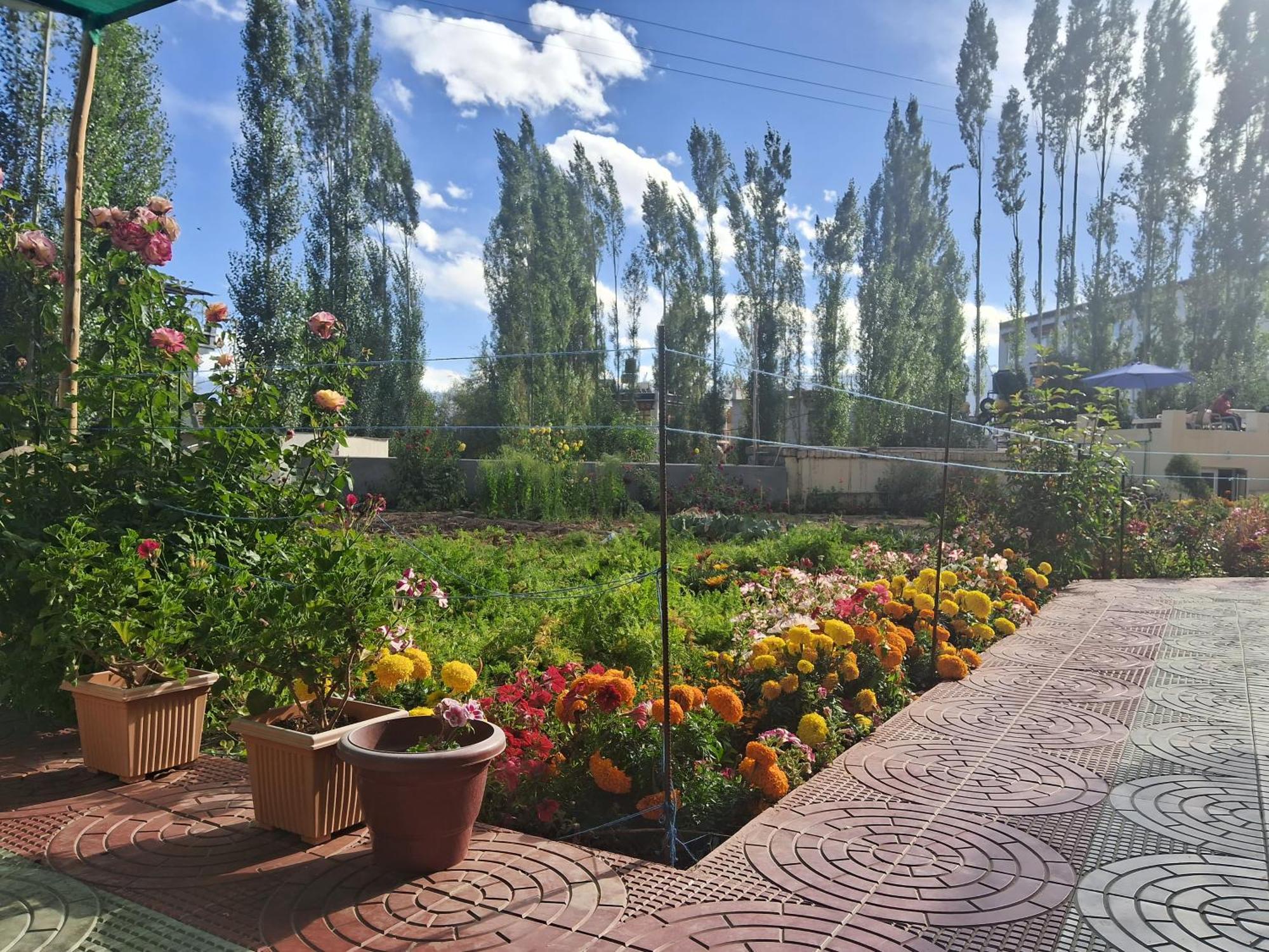 Zaltak Guest House And Hostel Leh Exterior foto