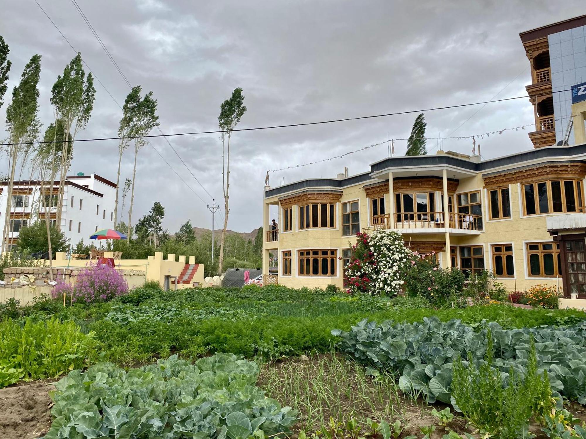 Zaltak Guest House And Hostel Leh Exterior foto